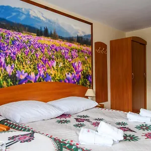 https://willa-kubik.zakopanehotels.org